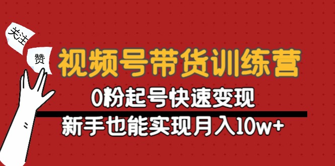 视频号带货训练营：0粉起号快速变现，新手也能实现月入10w+-凌耘闲说