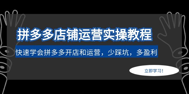 拼多多店铺运营实操教程：快速学会拼多多开店和运营，少踩坑，多盈利-凌耘闲说