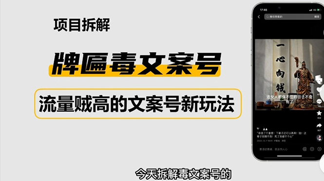 2023抖音快手毒文案新玩法，牌匾文案号，起号快易变现-凌耘闲说