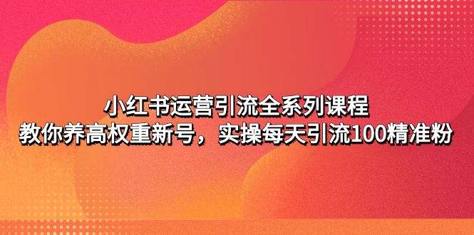 小红书运营引流全系列课程：教你养高权重新号，实操每天引流100精准粉-凌耘闲说