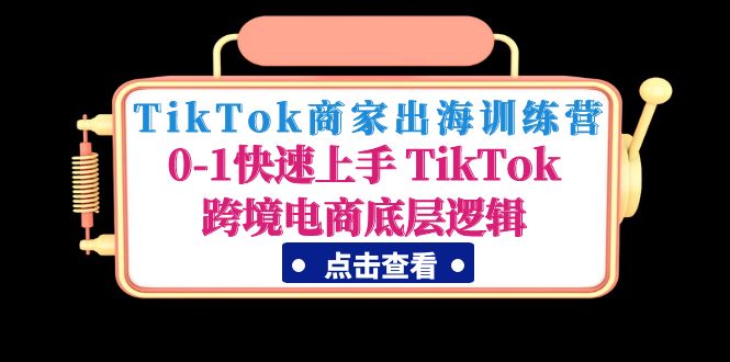 TikTok商家出海训练营：0-1快速上手 TikTok跨境电商底层逻辑-凌耘闲说