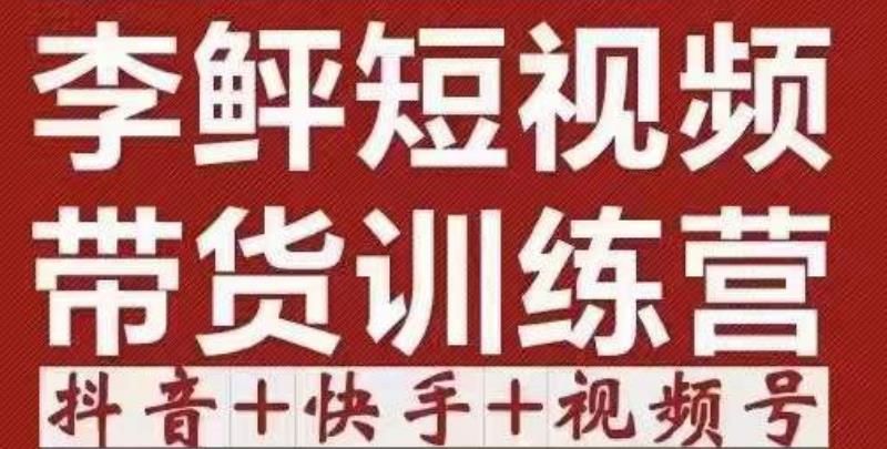 2022短视频带货训练营（第12期），低投入、低风险、比较容易上手，收益巨大-凌耘闲说