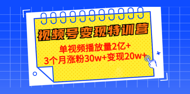 20天视频号变现特训营：单视频播放量2亿+3个月涨粉30w+变现20w+-凌耘闲说