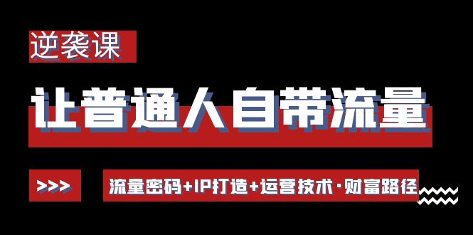 让普通人自带流量的逆袭课：流量密码+IP打造+运营技术·财富路径-凌耘闲说