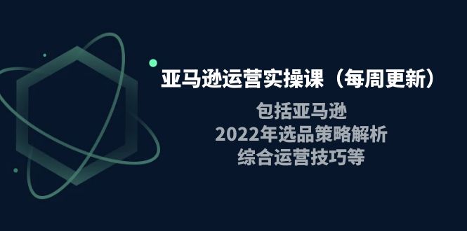 亚马逊运营实操课（每周更新）包括亚马逊2022选品策略解析，综合运营技巧等-凌耘闲说