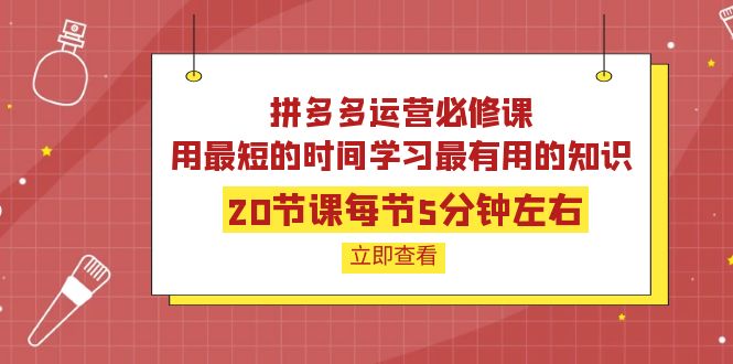 拼多多运营必修课：20节课每节5分钟左右，用最短的时间学习最有用的知识-凌耘闲说