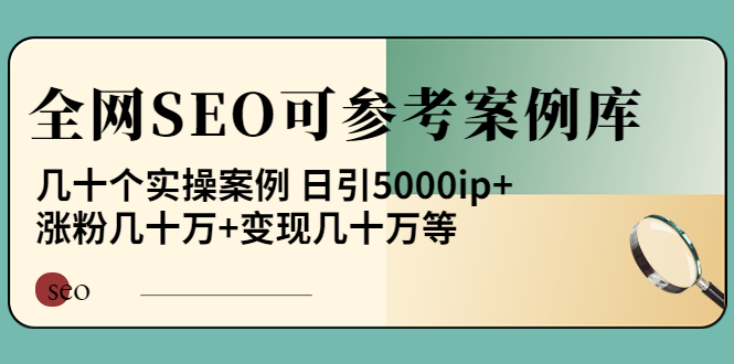 《全网SEO可参考案例库》几十个实操案例 日引5000ip+涨粉百W+变现几十W等!-凌耘闲说