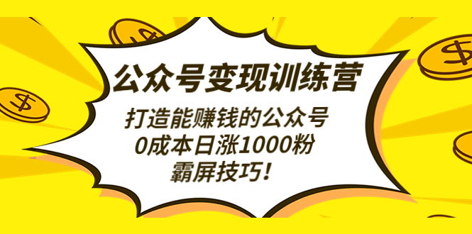 公众号变现训练营（第3期）打造能赚钱的公众号，0成本日涨1000粉，霸屏技巧-凌耘闲说