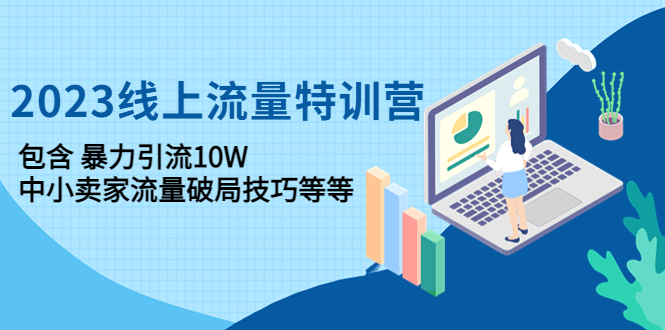 2023线上流量特训营：包含暴力引流10W+中小卖家流量破局技巧等等-凌耘闲说