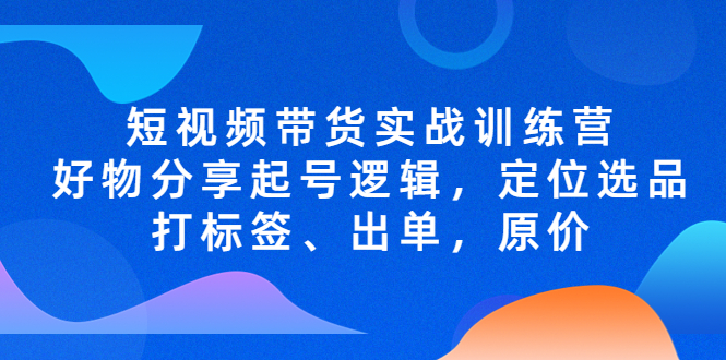 短视频带货实战训练营，好物分享起号逻辑，定位选品打标签、出单，原价-凌耘闲说