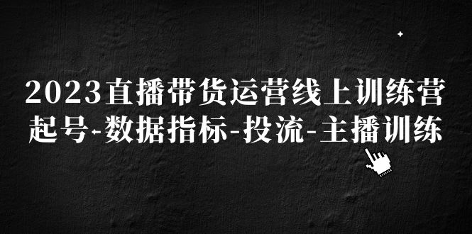 2023直播带货运营线上训练营，起号-数据指标-投流-主播训练-凌耘闲说