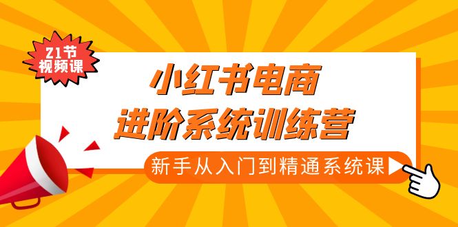 小红书电商进阶系统训练营：新手从入门到精通系统课（21节视频课）-凌耘闲说