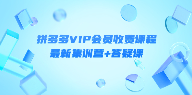 某社群·拼多多VIP会员收费课程，最新集训营+答疑课-价值3299元-凌耘闲说