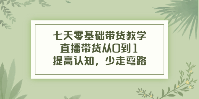 七天零基础带货教学，直播带货从0到1，提高认知，少走弯路-凌耘闲说