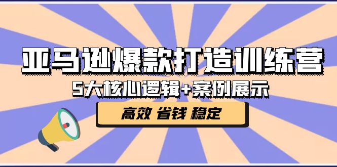 亚马逊爆款打造训练营：5大核心逻辑+案例展示 打造爆款链接 高效 省钱 稳定-凌耘闲说