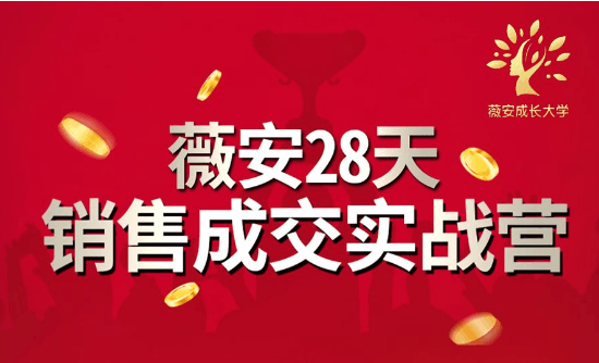 薇安28天销售成交实战营，5分钟成交3万，实现了月入近6位数的营收-凌耘闲说