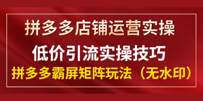 拼多多店铺运营实操，低价引流实操技巧，拼多多霸屏矩阵玩法（无水印）-凌耘闲说