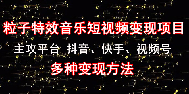 《粒子特效音乐短视频变现项目》主攻平台 抖音、快手、视频号 多种变现方法-凌耘闲说