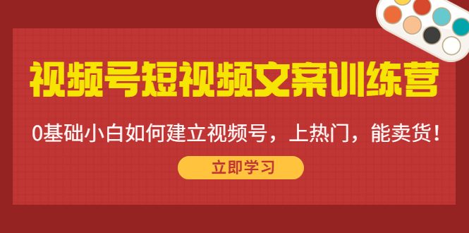 视频号短视频文案训练营：0基础小白如何建立视频号，上热门，能卖货！-凌耘闲说