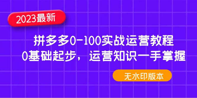 2023年拼多多0-100实战运营教程，0基础起步，运营知识一手掌握（无水印）-凌耘闲说