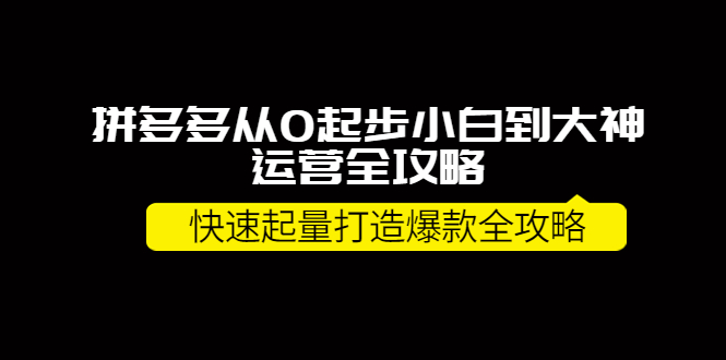 拼多多从0起步小白到大神运营全攻略，快速起量打造10W+爆款全攻略！-凌耘闲说