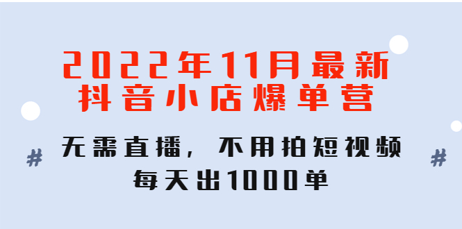 2022年11月最新抖音小店爆单营：无需直播，不用拍短视频，每天出1000单-凌耘闲说