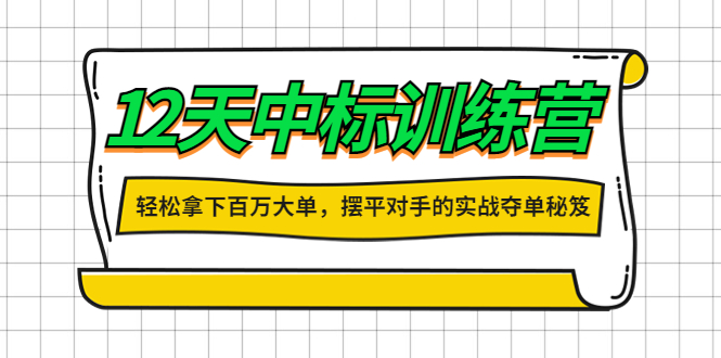 12天中标训练营：轻松拿下百万大单，摆平对手的实战夺单秘笈！-凌耘闲说