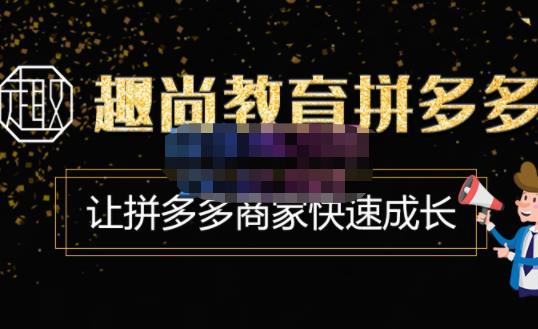 拼多多运营实操VIP特训营，让拼多多商家快速成长-价值3180元-凌耘闲说