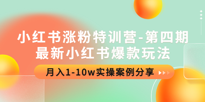 小红书涨粉特训营-第四期：最新小红书爆款玩法，月入1-10w实操案例分享-凌耘闲说