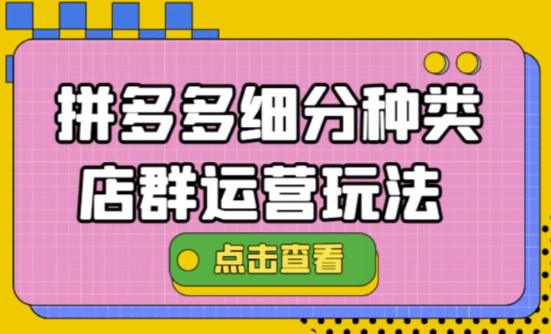 拼多多细分种类店群运营玩法3.0，11月最新玩法，小白也可以操作-凌耘闲说