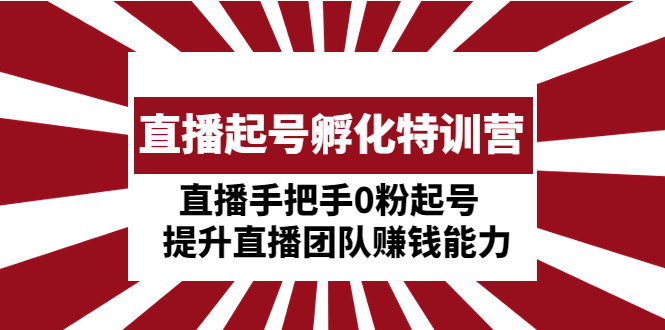 直播起号孵化特训营：直播手把手0粉起号 提升直播团队赚钱能力-凌耘闲说