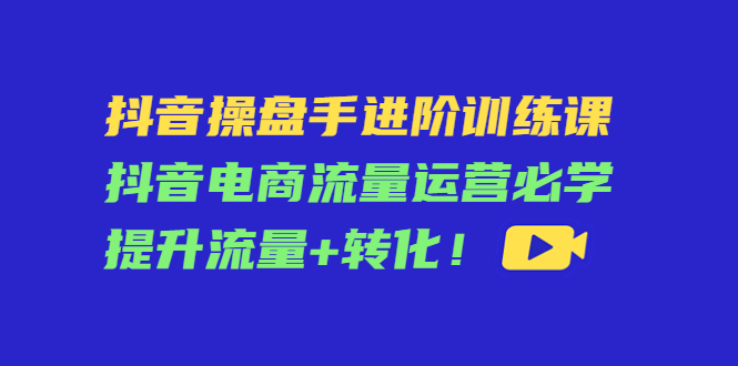 抖音操盘手进阶训练课：抖音电商流量运营必学，提升流量+转化！-凌耘闲说