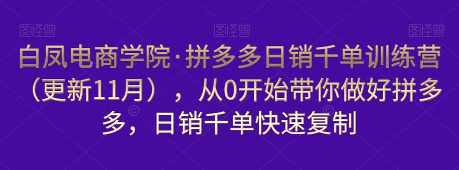 拼多多日销千单训练营（更新11月），从0开始带你做好拼多多，日销千单快速复制-凌耘闲说