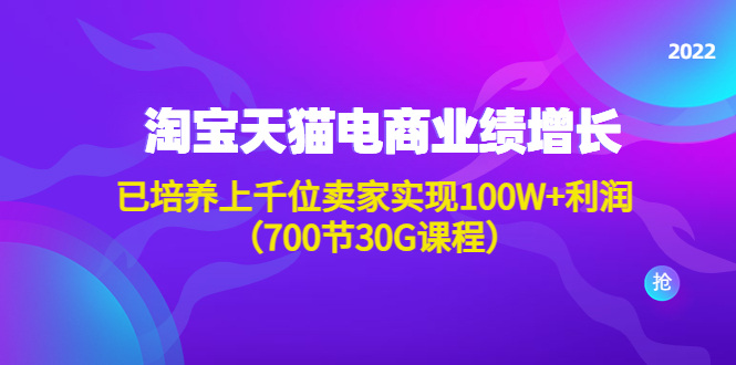 淘系天猫电商业绩增长：已培养上千位卖家实现100W+利润（700节30G课程）-凌耘闲说