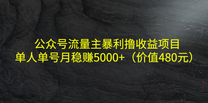 公众号流量主暴利撸收益项目，单人单号月稳赚5000+（价值480元）-凌耘闲说