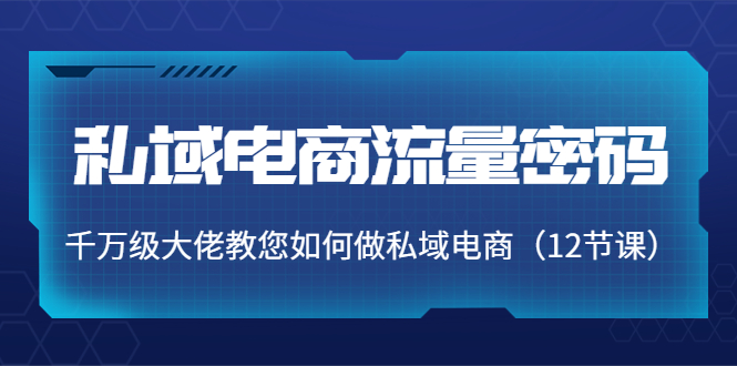 私域电商流量密码：千万级大佬教您如何做私域电商（12节课）-凌耘闲说