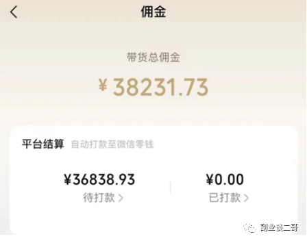 短视频带货：每月收入3万多的副业一部手机你也可以操作-凌耘闲说