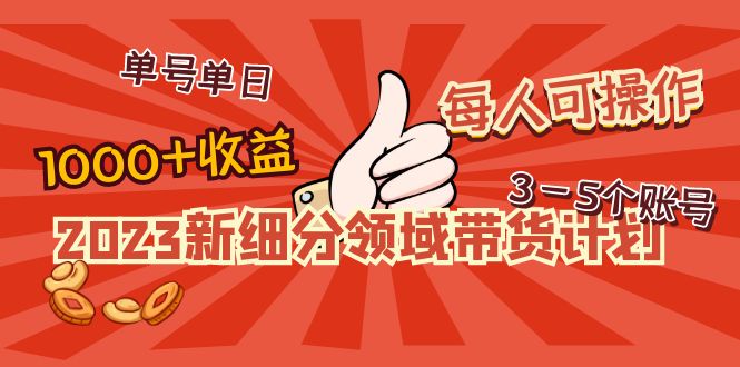 2023新细分领域带货计划：单号单日1000+收益不难，每人可操作3-5个账号-凌耘闲说