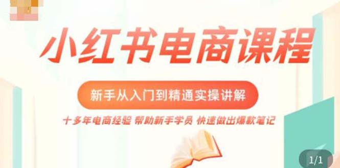 小红书电商新手入门到精通实操课，从入门到精通做爆款笔记，开店运营-凌耘闲说