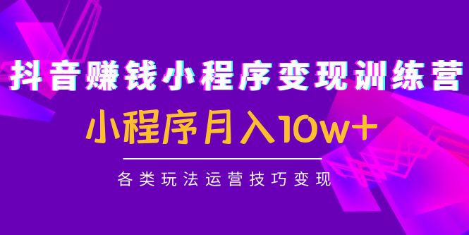 抖音赚钱小程序变现训练营：小程序月入10w+各类玩法运营技巧变现-凌耘闲说