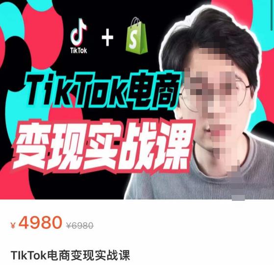 TikTok电商学长Ethan·TikTok电商变现实战课，TikTok运营+Shopify独立站运营+TikTok广告投放-凌耘闲说