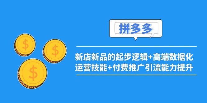 2022拼多多：新店新品的起步逻辑+高端数据化运营技能+付费推广引流能力提升-凌耘闲说