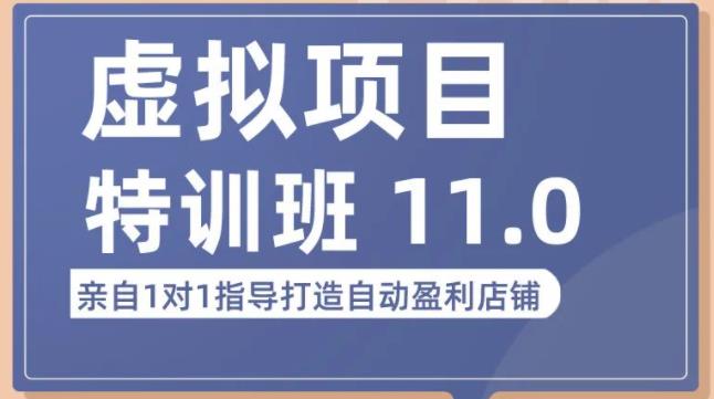 陆明明·虚拟项目特训班（10.0+11.0），0成本获取虚拟素材，0基础打造自动盈利店铺-凌耘闲说