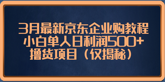 3月最新京东企业购教程，小白单人日利润500+撸货项目（仅揭秘）-凌耘闲说