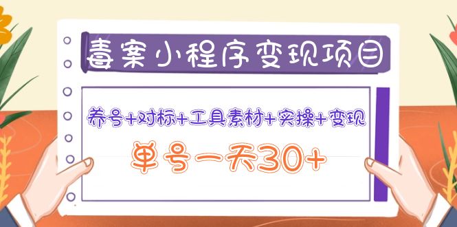 图文案小程序变现项目：养号+对标+工具素材+实操+变现，单号一天30+-凌耘闲说