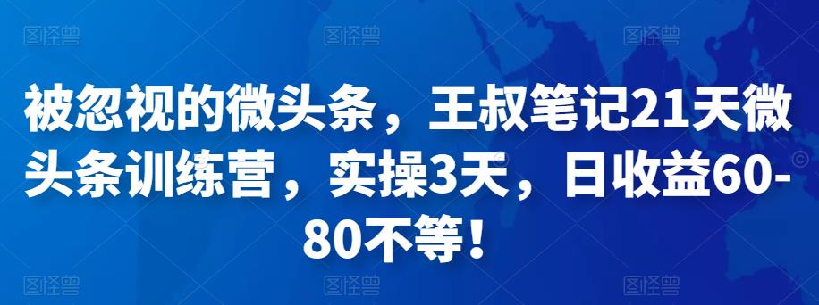 被忽视的微头条，王叔笔记21天微头条训练营，实操3天，日收益60-80不等-凌耘闲说