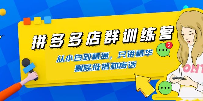 拼多多店群训练营：从小白到精通，只讲精华，剔除推销和废话-凌耘闲说