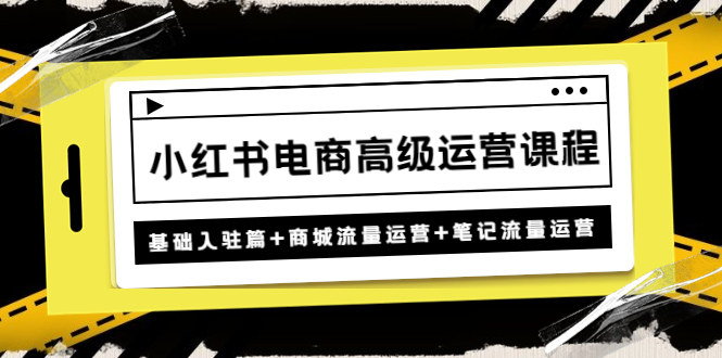 小红书电商高级运营课程：基础入驻篇+商城流量运营+笔记流量运营-凌耘闲说