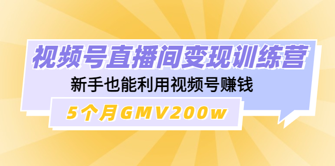 视频号直播间变现训练营：新手也能利用视频号赚钱，5个月GMV200w-凌耘闲说