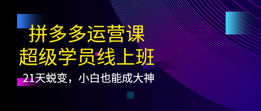 拼多多运营课：超级学员线上班，21天蜕变，小白也能成大神-凌耘闲说